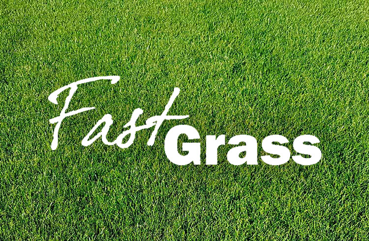 sg-2000-fast-grass sg-2000-fast-grass